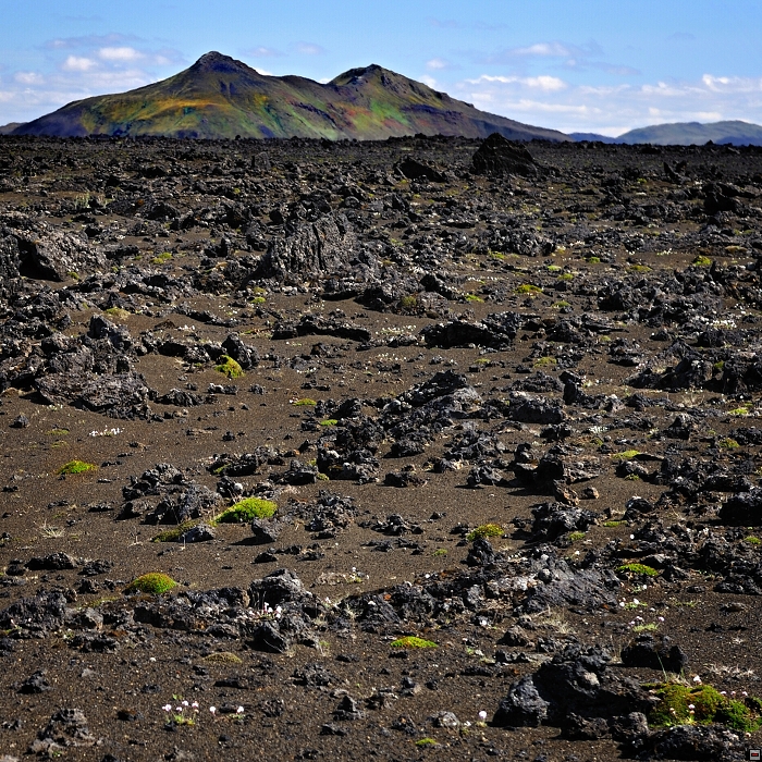 119-D91_0431_Oblast Landmannalaugar.jpg